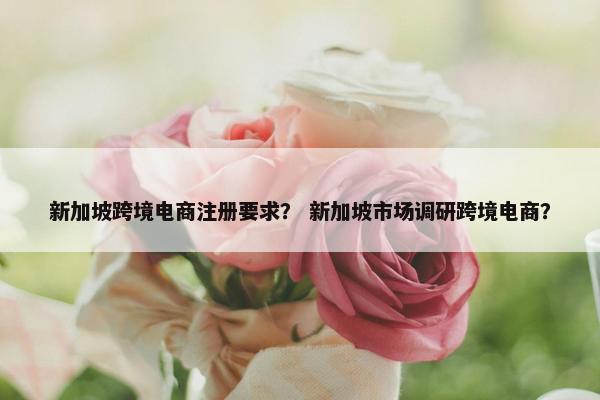 新加坡跨境电商注册要求？ 新加坡市场调研跨境电商？
