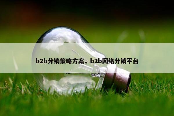 b2b分销策略方案，b2b网络分销平台