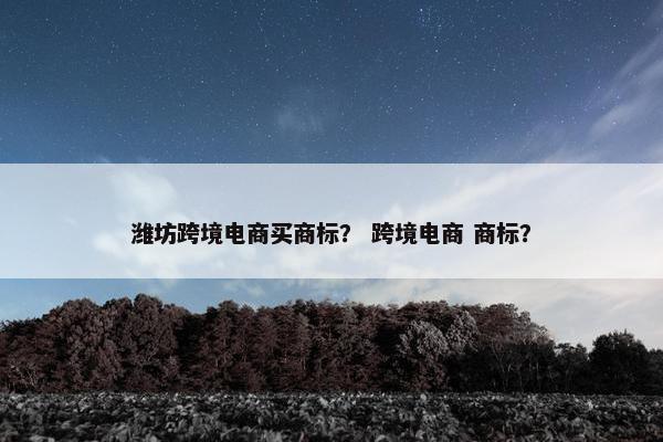 潍坊跨境电商买商标？ 跨境电商 商标？
