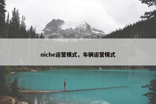 niche运营模式，车辆运营模式