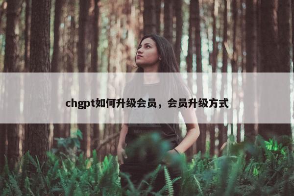 chgpt如何升级会员，会员升级方式