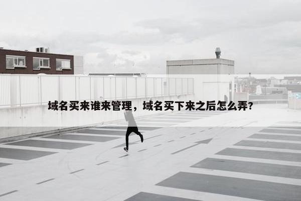 域名买来谁来管理，域名买下来之后怎么弄?