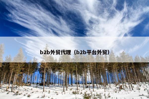 b2b外贸代理（b2b平台外贸）