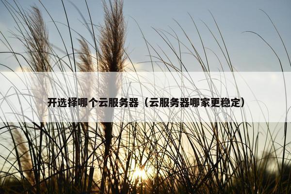 开选择哪个云服务器（云服务器哪家更稳定）