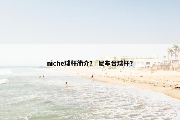 niche球杆简介？ 尼车台球杆？