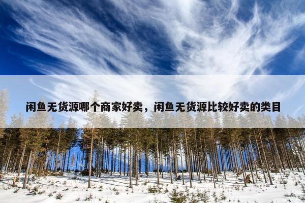闲鱼无货源哪个商家好卖，闲鱼无货源比较好卖的类目