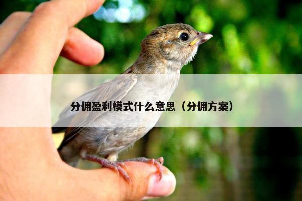 分佣盈利模式什么意思（分佣方案）