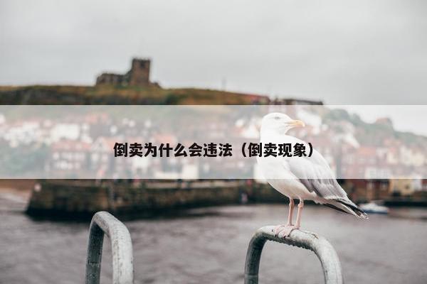 倒卖为什么会违法（倒卖现象）