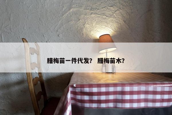 腊梅苗一件代发？ 腊梅苗木？