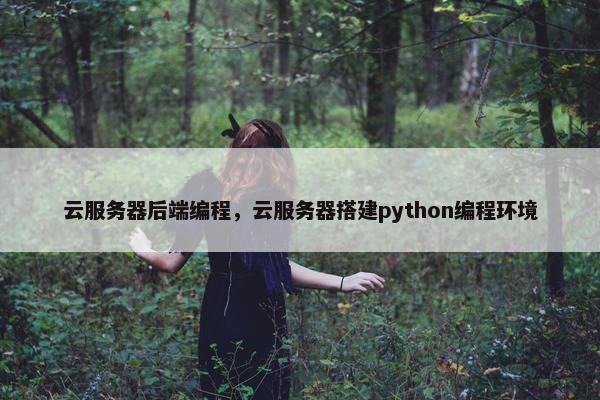 云服务器后端编程，云服务器搭建python编程环境