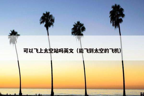 可以飞上太空站吗英文（能飞到太空的飞机）