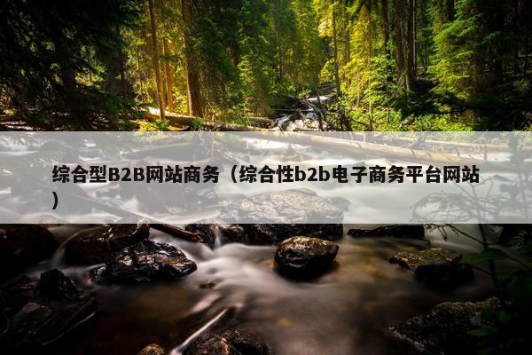 综合型B2B网站商务（综合性b2b电子商务平台网站）