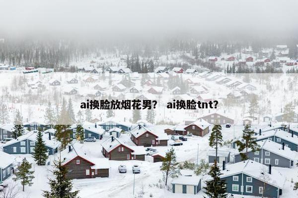 ai换脸放烟花男？ ai换脸tnt？