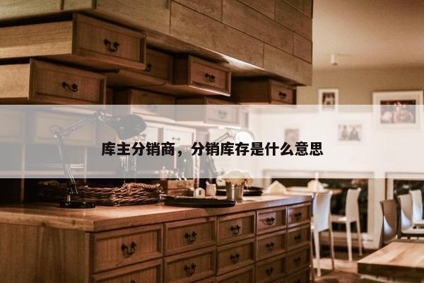 库主分销商，分销库存是什么意思