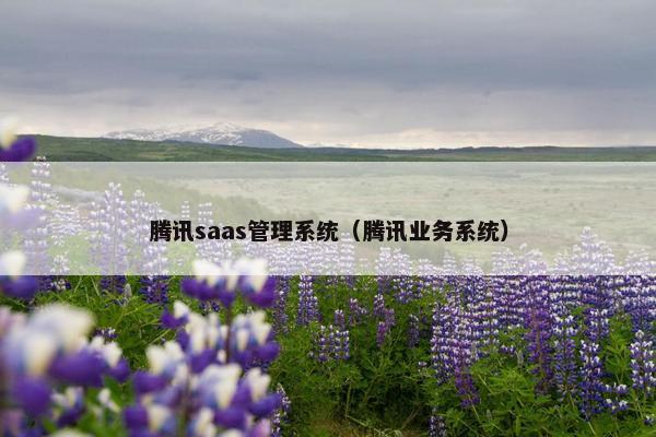 腾讯saas管理系统（腾讯业务系统）