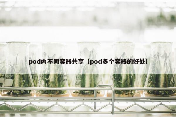 pod内不同容器共享（pod多个容器的好处）