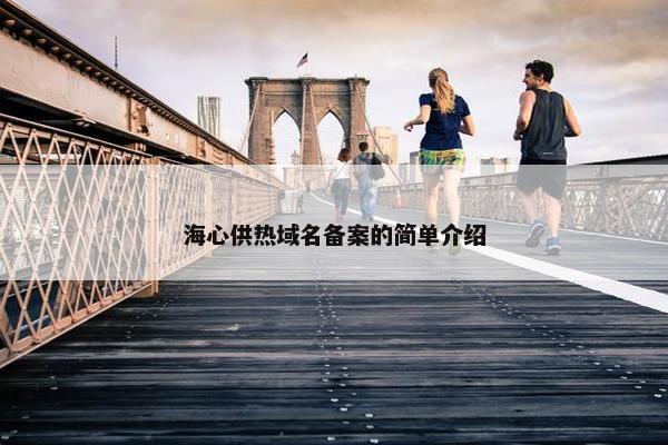海心供热域名备案的简单介绍