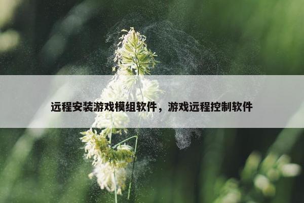 远程安装游戏模组软件，游戏远程控制软件