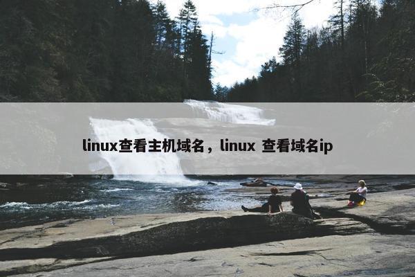 linux查看主机域名，linux 查看域名ip