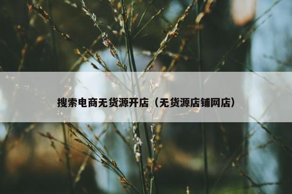 搜索电商无货源开店（无货源店铺网店）