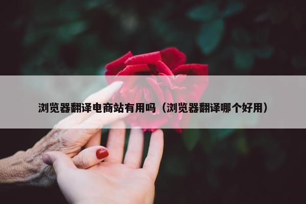 浏览器翻译电商站有用吗（浏览器翻译哪个好用）