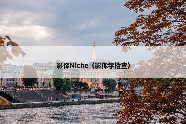 影像Niche（影像学检查）