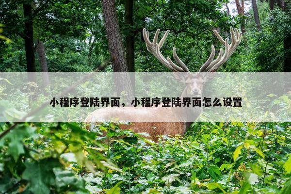 小程序登陆界面，小程序登陆界面怎么设置