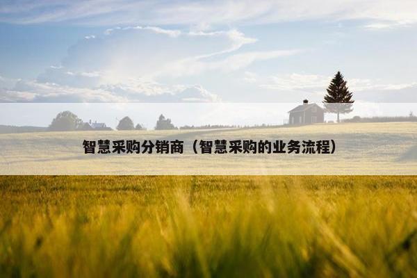 智慧采购分销商（智慧采购的业务流程）