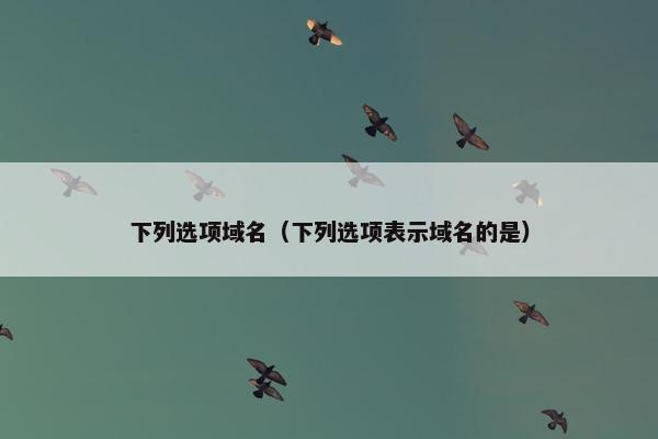 下列选项域名（下列选项表示域名的是）