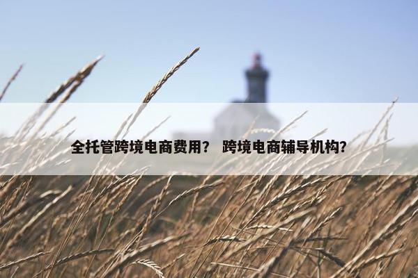 全托管跨境电商费用？ 跨境电商辅导机构？