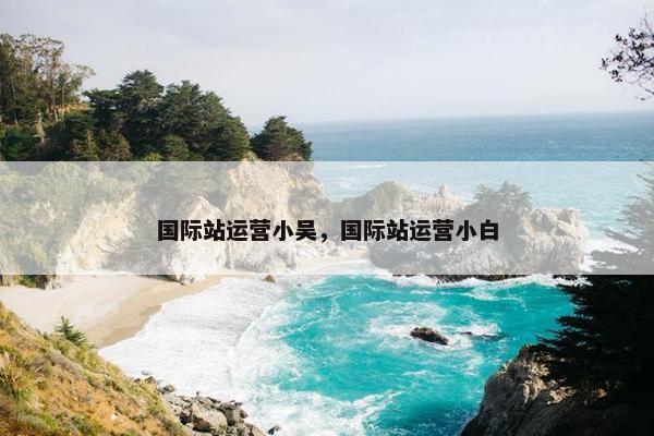 国际站运营小吴，国际站运营小白