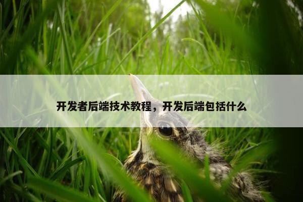 开发者后端技术教程，开发后端包括什么