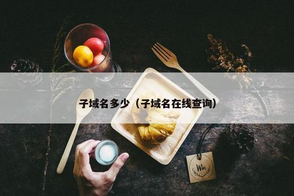 子域名多少（子域名在线查询）
