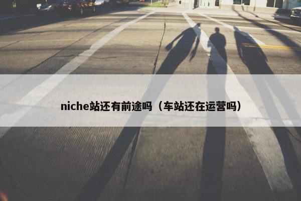 niche站还有前途吗（车站还在运营吗）