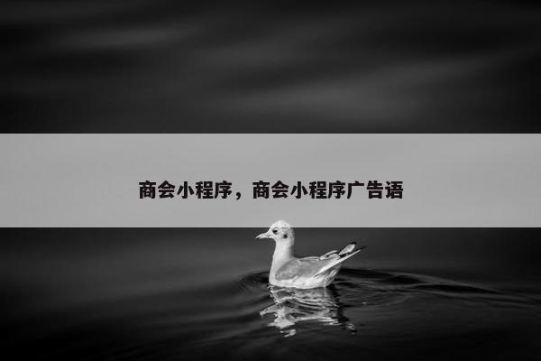商会小程序，商会小程序广告语