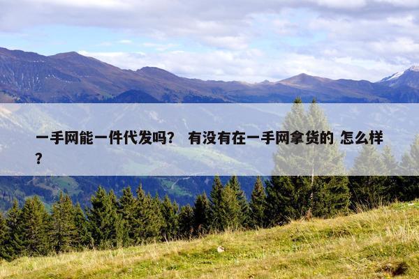 一手网能一件代发吗？ 有没有在一手网拿货的 怎么样？