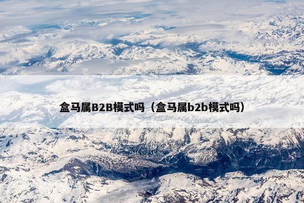 盒马属B2B模式吗（盒马属b2b模式吗）