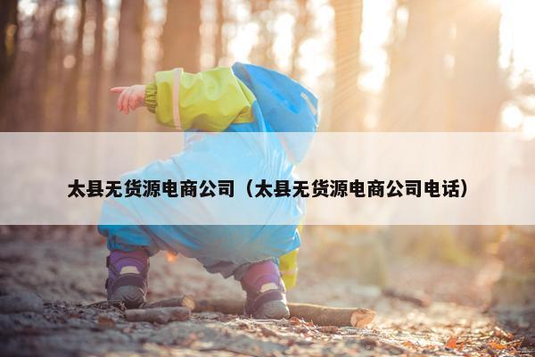 太县无货源电商公司（太县无货源电商公司电话）