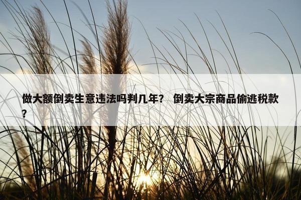 做大额倒卖生意违法吗判几年？ 倒卖大宗商品偷逃税款？