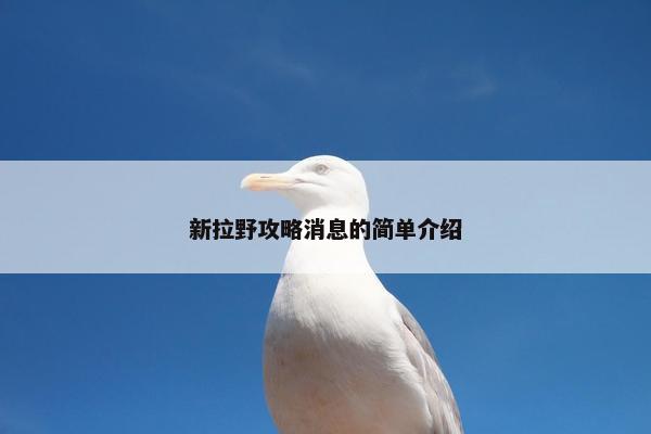 新拉野攻略消息的简单介绍