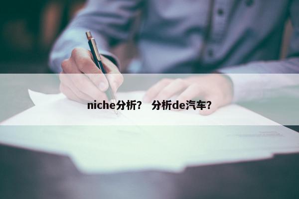 niche分析？ 分析de汽车？