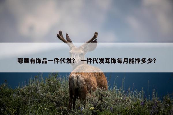 哪里有饰品一件代发？ 一件代发耳饰每月能挣多少？