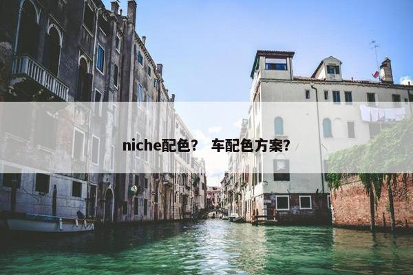 niche配色？ 车配色方案？