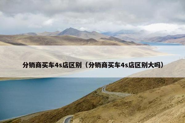 分销商买车4s店区别（分销商买车4s店区别大吗）