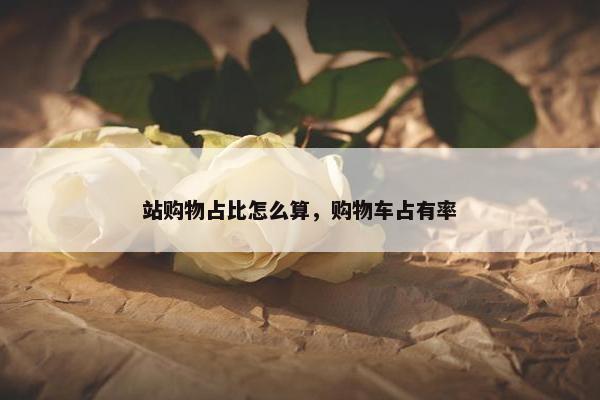 站购物占比怎么算，购物车占有率