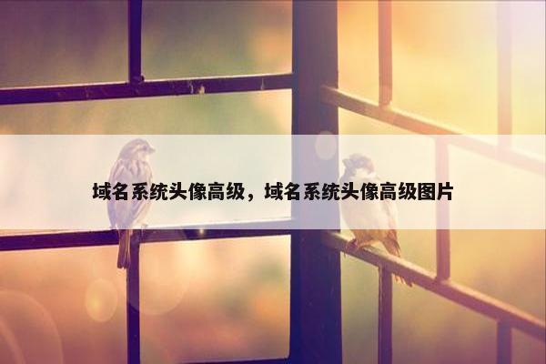 域名系统头像高级，域名系统头像高级图片
