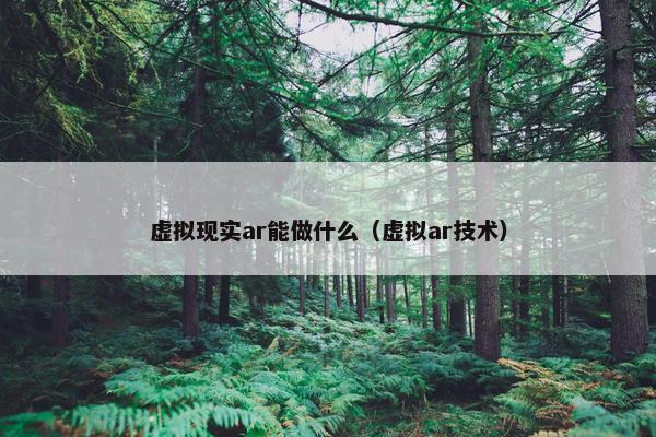 虚拟现实ar能做什么（虚拟ar技术）