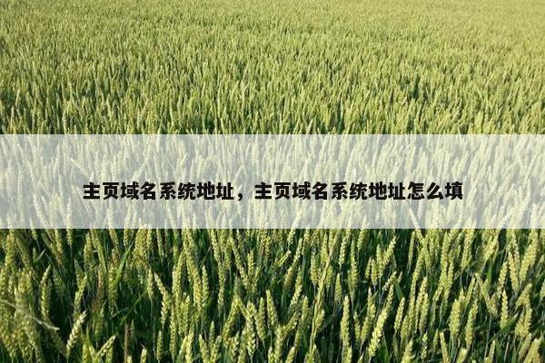 主页域名系统地址，主页域名系统地址怎么填