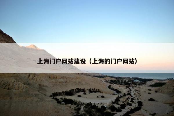 上海门户网站建设（上海的门户网站）
