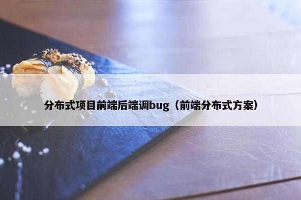 分布式项目前端后端调bug（前端分布式方案）